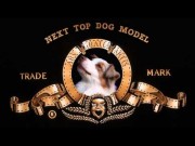 MGM DOG Thumnail